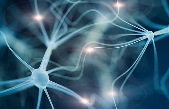 Conexiones neuronales