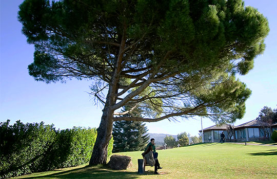 Clínica de ingreso Instituto Hipócrates